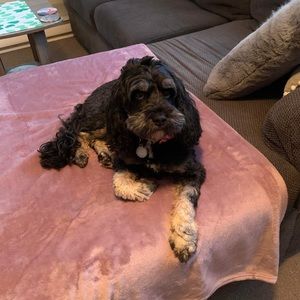 Meet your Posher, Pamela